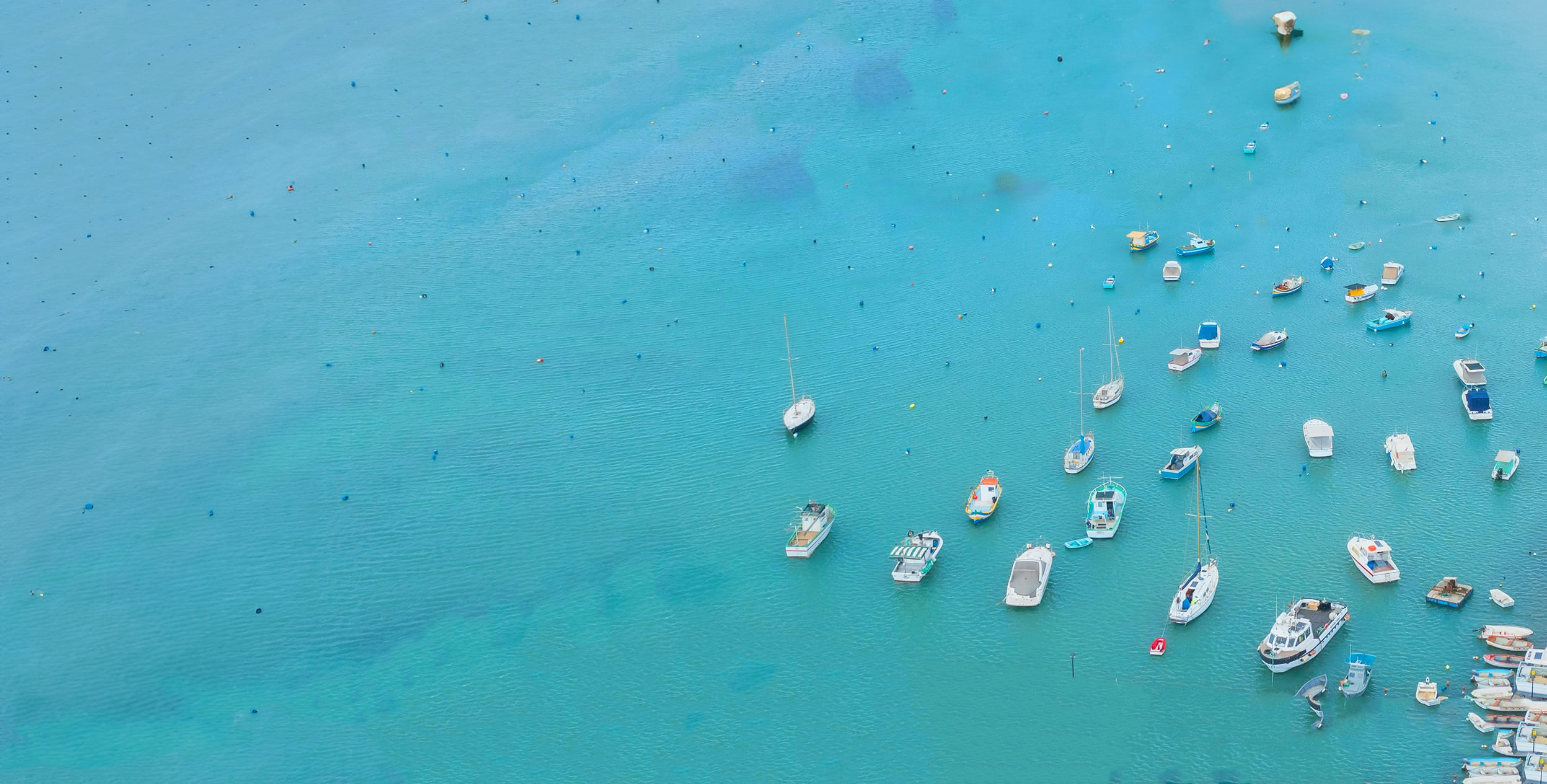 BoatBites platform