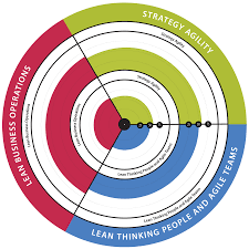 Agility Health Radar